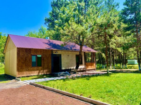 Milenium Villa on Sevan beach